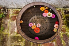 10월 14일 꿈순이러브레터 - 꿈돌이 이야기 - 꿈돌이예능어린이집 10월 14일 꿈순이러브레터