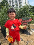 🍅토마토랑~ 살구랑~🍊 - 사랑가득친구들 - 꿈돌이예능어린이집 🍅토마토랑~ 살구랑~🍊