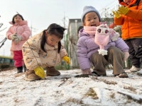 자유놀이( 월. 화)/ 바깥놀이 - 사랑가득친구들 - 꿈돌이예능어린이집 자유놀이( 월. 화)/ 바깥놀이