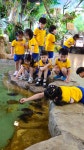 홍익원 내수어린이집 | 주니멀 (내수 실내 동물원) - 슬기롭고지혜로운친구들 - 꿈돌이예능어린이집 주니멀 (내수 실내 동물원)