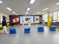 태! 권! 도! - 슬기롭고지혜로운친구들 - 꿈돌이예능어린이집 태! 권! 도!