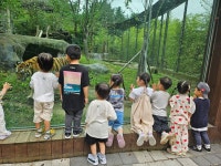 청주 동물원에서~~~ - 사랑가득친구들 - 꿈돌이예능어린이집 청주 동물원에서~~~