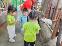 쥬니멀 동물원에서~~1(사랑가득 1, 2반)🦛🐦🐑🦍... 꿈돌이예능어린이집 쥬니멀 동물원에서~~1(사랑가득 1, 2반)🦛🐦🐑🦍🐠🐖