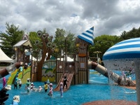 망골근린공원물놀이장🏖️🌊(사랑1.2반) - 사랑가득친구들 - 꿈돌이예능어린이집 망골근린공원물놀이장🏖️🌊(사랑1.2반)