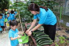 🥒싱싱한 오이 수확하는 날🥒 - 둘리라생활앨범 - 둘리라창의어린이집 🥒싱싱한 오이 수확하는 날🥒