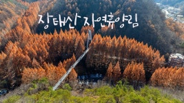 장태산자연휴양림 가을 - 산행/비박/백패킹 - Backcountry Camping 장태산자연휴양림 가을
