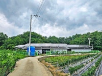 정 진영 교수의 무릉도원 ＜ 글쓰고 농사짓고 강의 다니며. . . ＞ - 처음처럼의 영상일기 - 고타야 ( 古陀耶 ) 정 진영 교수의 무릉도원 ＜ 글쓰고... 
