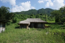 #[봉화군 여행] 분천리 까치 구멍집..........87 - ♡- 카페여행방 - 【우수카페】신비한 약초세상 #[봉화군 여행] 분천리 까치 구멍집..........87