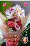 좋은 아침 - 카페 앨범 - 생활 · 운동 자연치유 연구소 좋은 아침