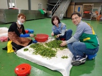 2022.050.05 보성 청우다원 제다실습 - 우리들의 이야기 - 한국차문화협회서울제2지부(동부) - 중랑구청다향회봉사 2022.050.05 보성... 