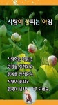 노년의 멋 - ‥‥공유 ♡ 좋은글 - 향기있는 좋은글 노년의 멋