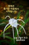 그대여 오늘도 파이팅 - ‥‥공유 ♡ 좋은글 - 향기있는 좋은글 그대여 오늘도 파이팅