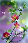 좋은 인연인 당신 - ‥‥공유 ♡ 좋은글 - 향기있는 좋은글 좋은 인연인 당신