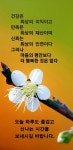삶의 진잔한 행복 - ‥‥공유 ♡ 좋은글 - 향기있는 좋은글 삶의 진잔한 행복