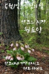 ♧백년친구 들아 우리 이렇게 살자♧ - ‥‥공유 ♡ 좋은글 - 향기있는 좋은글 ♧백년친구 들아 우리 이렇게 살자♧