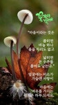 노년의 멋 - ‥‥공유 ♡ 좋은글 - 향기있는 좋은글 노년의 멋