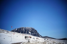 12월 제주 동백길 - 12월20~22일(토~월 2박3일)/1박2일(21~22일) - │ 　12/20 한라산설경길 - 인천산사야 트레킹클럽(산과 사진...야생화... 