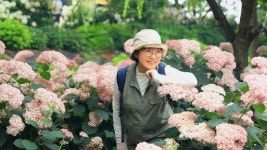 유구색동수국축제장& 마곡사 (하나 ) 6.28 - ┌────[토요사진방]... 야생화 도보여행) 유구색동수국축제장& 마곡사 (하나 ) 6.28