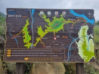 털중나리가 봉화산을 붉게 물들이다 - │　 방 　 [회원사진방] - 인천산사야 트레킹클럽(산과 사진...야생화 도보여행) ﻿털중나리가 봉화산을... 