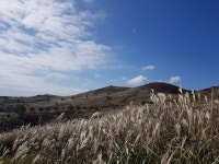 황매산아! - ┌────[토요사진방] - 인천산사야 트레킹클럽(산과 사진...야생화 도보여행) 인천산사야 트레킹클럽(산과 사진...야생화 도보여행)