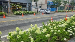 공주유구색동&마곡사 - ┌────[토요사진방] - 인천산사야 트레킹클럽(산과 사진...야생화 도보여행) 공주유구색동&마곡사