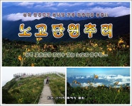 7월18일 토요도보 - 지리산 노고단 원추리&화엄사계곡 물놀이 - │ 　07/18 노고단원추리 - 인천산사야 트레킹클럽(산과 사진...야생화... 