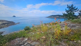 사도1박2일 둘째날 -추도 - ┌────[토요사진방] - 인천산사야 트레킹클럽(산과 사진...야생화 도보여행) 사도1박2일 둘째날 -추도