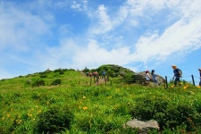 7월18일 토요도보 - 지리산 노고단 원추리&화엄사계곡 물놀이 - │ 　07/18 노고단원추리 - 인천산사야 트레킹클럽(산과 사진...야생화... 