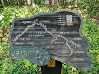 무릉도원 옹녀폭포와 솔봉 - │　 방 　 [회원사진방] - 인천산사야 트레킹클럽(산과 사진...야생화 도보여행) 무릉도원 옹녀폭포와 솔봉