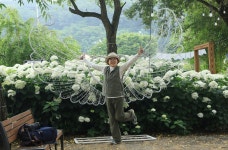 유구색동수국축제장& 마곡사 (하나 ) 6.28 - ┌────[토요사진방]... 야생화 도보여행) 유구색동수국축제장& 마곡사 (하나 ) 6.28