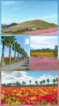 10월14~15일(화,수) - 1박2일 제주 가을여행 - │ 　10/14 제주초가을길 - 인천산사야 트레킹클럽(산과 사진...야생화 도보여행) 10월14~15일... 