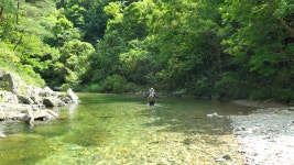 8월16일 토요도보 - 인제 아침가리골 트레킹 - │ 　08/16 아침가리골路 - 인천산사야 트레킹클럽(산과 사진...야생화 도보여행) 8월16일... 