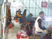 지난조황 사진 올림니다,, - 조황 및 이벤트공지 - 용소 사계절 낚시터 지난조황 사진 올림니다,,
