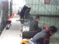 삼일절 소식입니다.. - 조황 및 이벤트공지 - 용소 사계절 낚시터 삼일절 소식입니다..
