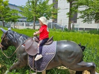 농업 생태농원 봄소풍 - 그린별 행사 - 평택그린별 어린이집~^^& 농업 생태농원 봄소풍