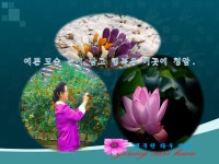 예쁜사진 - 내얼굴공개 - 청암123 컴교실 예쁜사진 