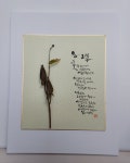 내 사진 - 우리 앨범 - 김강호의 사람사는 세상 내 사진