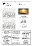 제1704호 연중 제5주일(2026.2.8) - 탄방골 주보 - 대전교구 탄방동 성당 제1704호 연중 제5주일(2026.2.8)