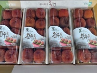 대둔산흑곶감 - 대둔산 흑곶감 농사 - 대둔산 천등가든민박 대둔산흑곶감