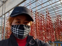 2020햇곶감 판매 시작 - 대둔산 흑곶감 농사 - 대둔산 천등가든민박 2020햇곶감 판매 시작