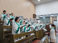 9월 14일 교중미사 - 성당 개인사진 - 성환성당 성환성당