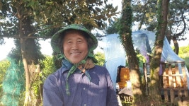 농정원 장마 대비 끝 - 농사이야기 - 도시농업(UrbanAgriculture) 농정원 장마 대비 끝