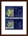 더샵 군산 프리미엘◐▶군산 더샵 프리미엘 분양가 홍보관 - ◈원룸... 부동산투자개발 더샵 군산 프리미엘◐▶군산 더샵 프리미엘 분양가 홍보관
