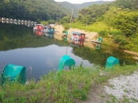 천평낚시터 꽝이여도 힐링되는곳~ㅎㅎ - 낚시꾼들의 이야기 - 천평유료낚시터 since 1991 천평낚시터 꽝이여도 힐링되는곳~ㅎㅎ