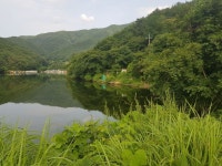 천평낚시터 이번주도 도장찍고 왔습니다^^ - 조행기 - 천평유료낚시터 since 1991 천평낚시터 이번주도 도장찍고 왔습니다^^