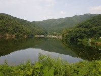 천평낚시터 이번주도 도장찍고 왔습니다^^ - 조행기 - 천평유료낚시터 since 1991 천평낚시터 이번주도 도장찍고 왔습니다^^