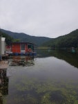 이번주도 도장찍고 왔습니다^^ - 조행기 - 천평유료낚시터 since 1991 이번주도 도장찍고 왔습니다^^