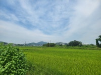 (천안경매학원) 직산 624지방도 현장답사 - 경매물건 학원 현장답사 - 천안부동산 경매학원 (천안아산 부동산매거진) 천안부동산 경매학원... 