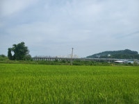 (천안경매학원) 직산 624지방도 현장답사 - 경매물건 학원 현장답사 - 천안부동산 경매학원 (천안아산 부동산매거진) 천안부동산 경매학원... 