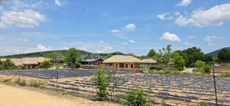 하회마을(26.5.26) - 장수 산악회. - 서수원신협산악회 하회마을(26.5.26)